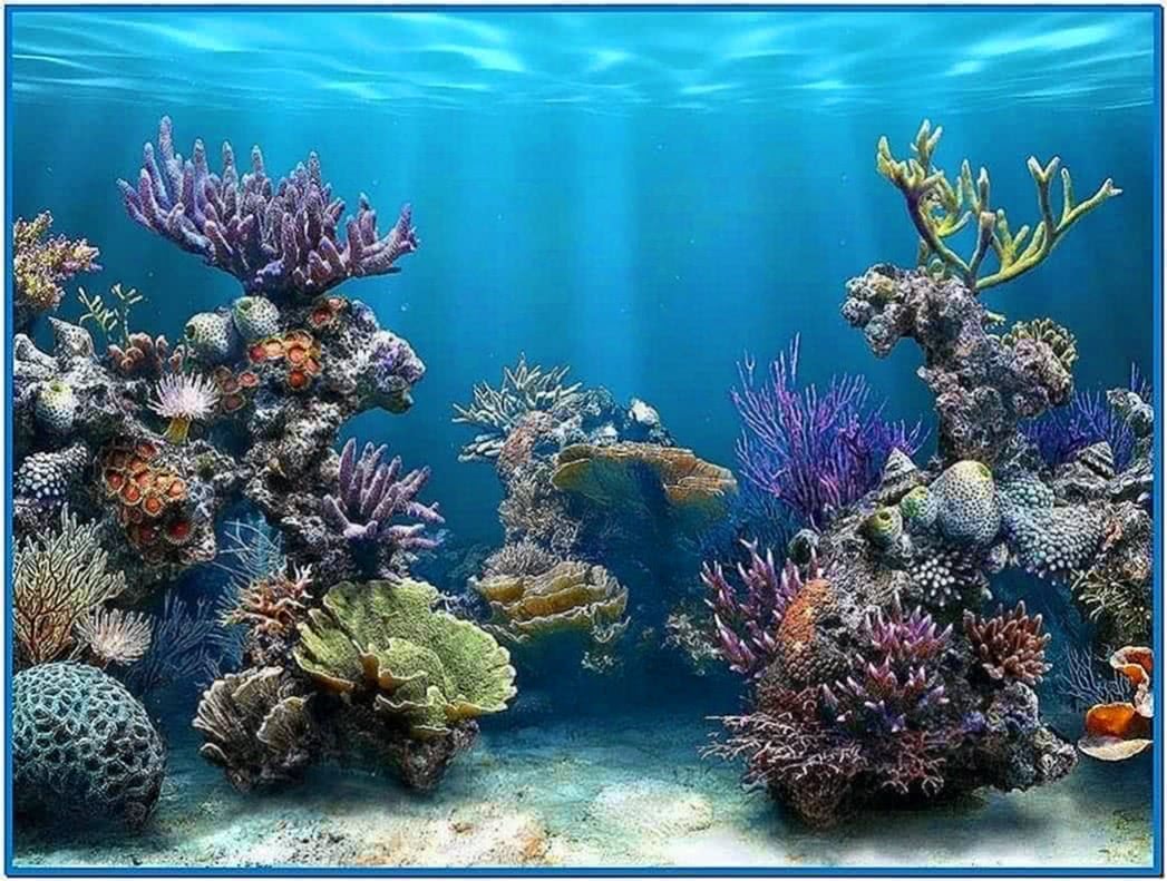 3d desktop aquarium screensaver 2016 - Download free