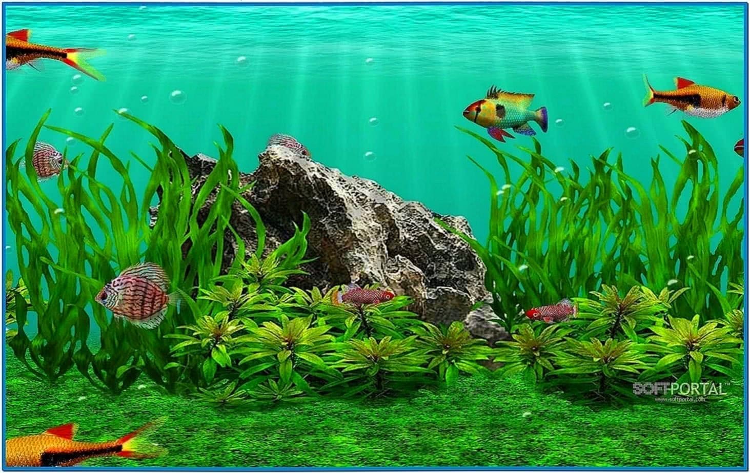 3d fish school 4 screensaver  Download free