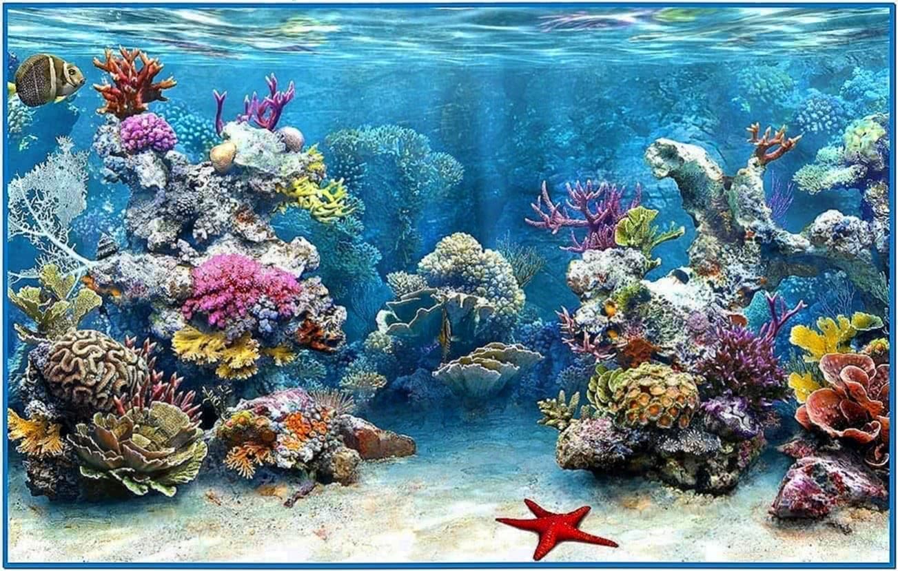 aquarium screensaver download