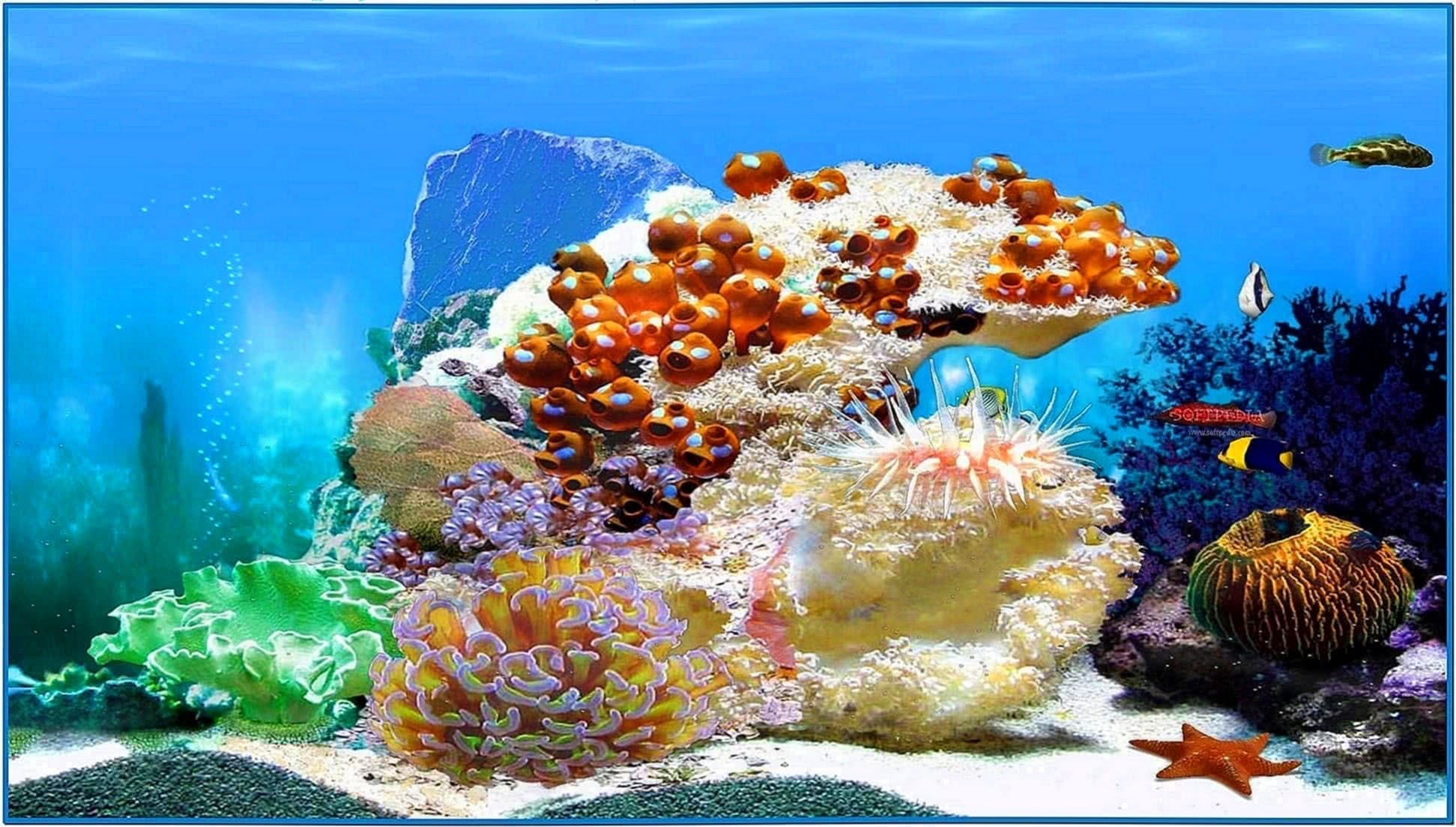 Animated 3d aquarium screensaver - Download free