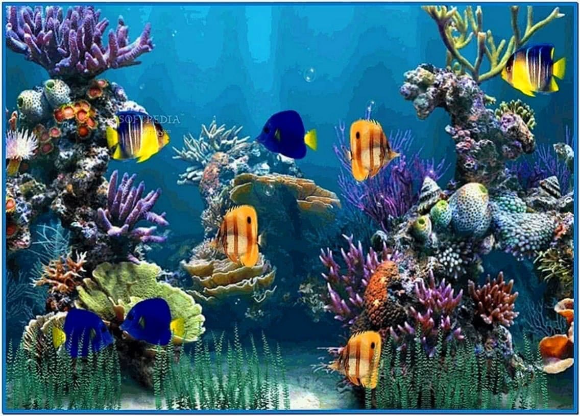 Aquarium desktop animated screensaver - Download free