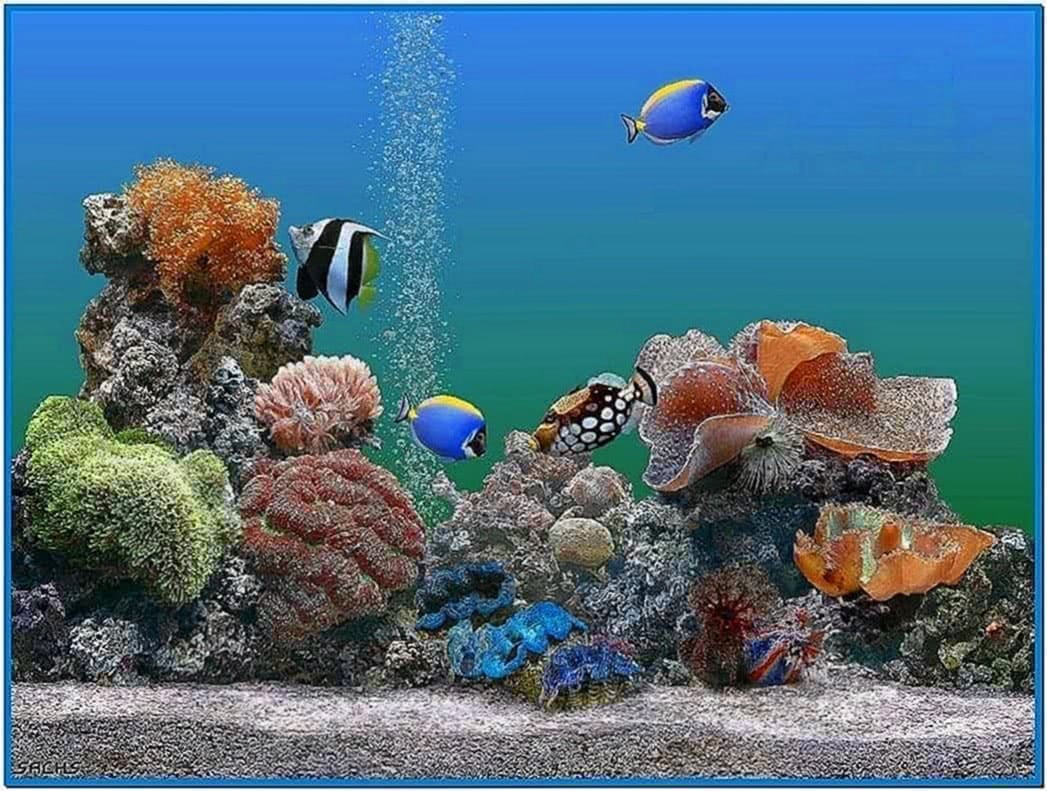 Aquarium desktop animated screensaver - Download free