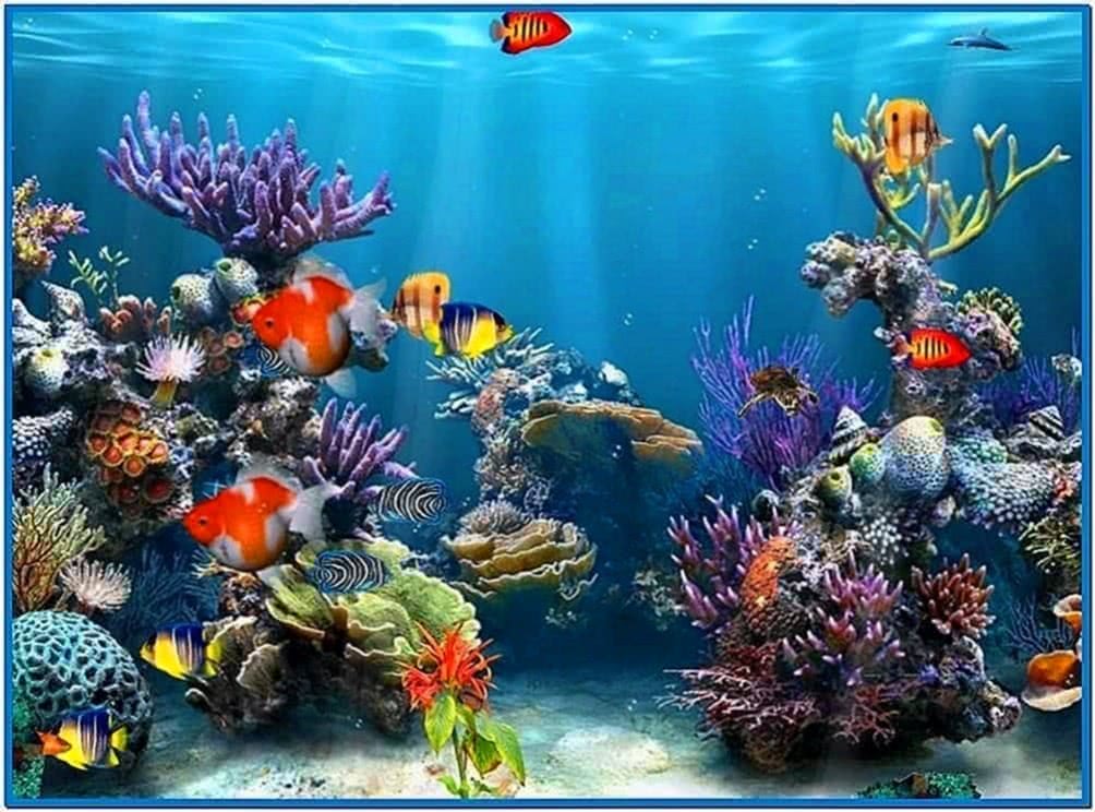 Coral reef 3d screensaver - Download free