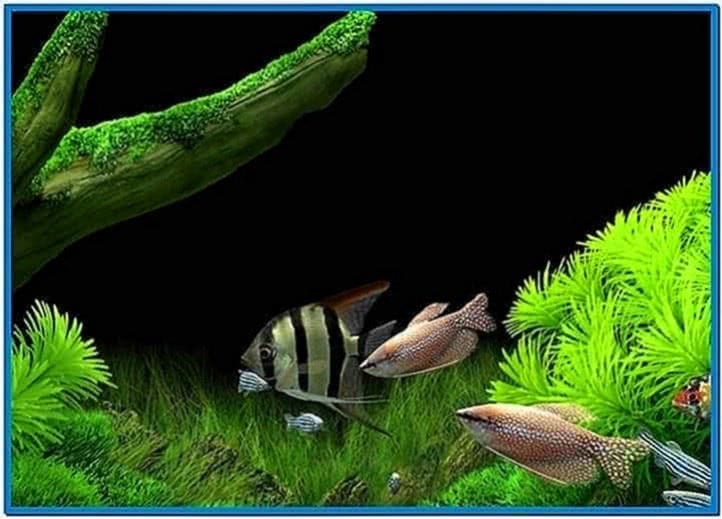 Dream Aquarium Screensaver Rapidshare Downloads