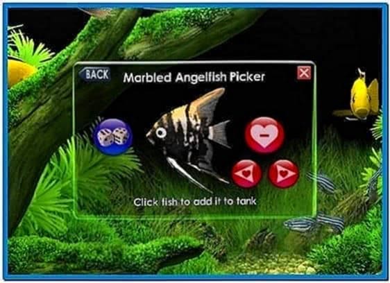 3D Desktop Aquarium Screensaver Windows Crack File