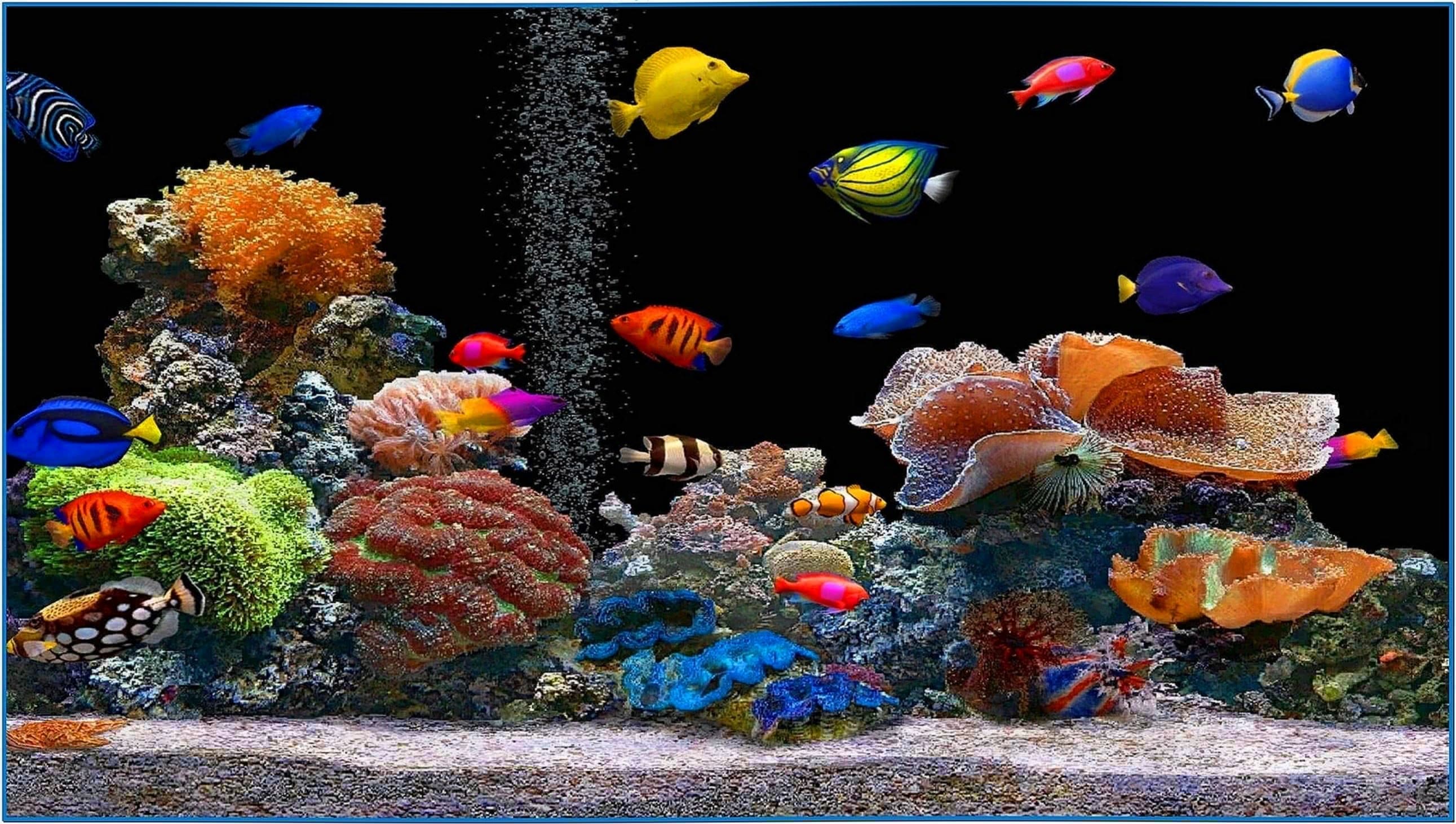 Fish aquarium screensaver for mobile  Download free
