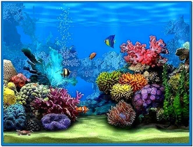 virtual aquarium screensaver