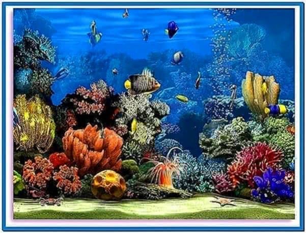  - living-marine-aquarium-2-screensaver-jpg3