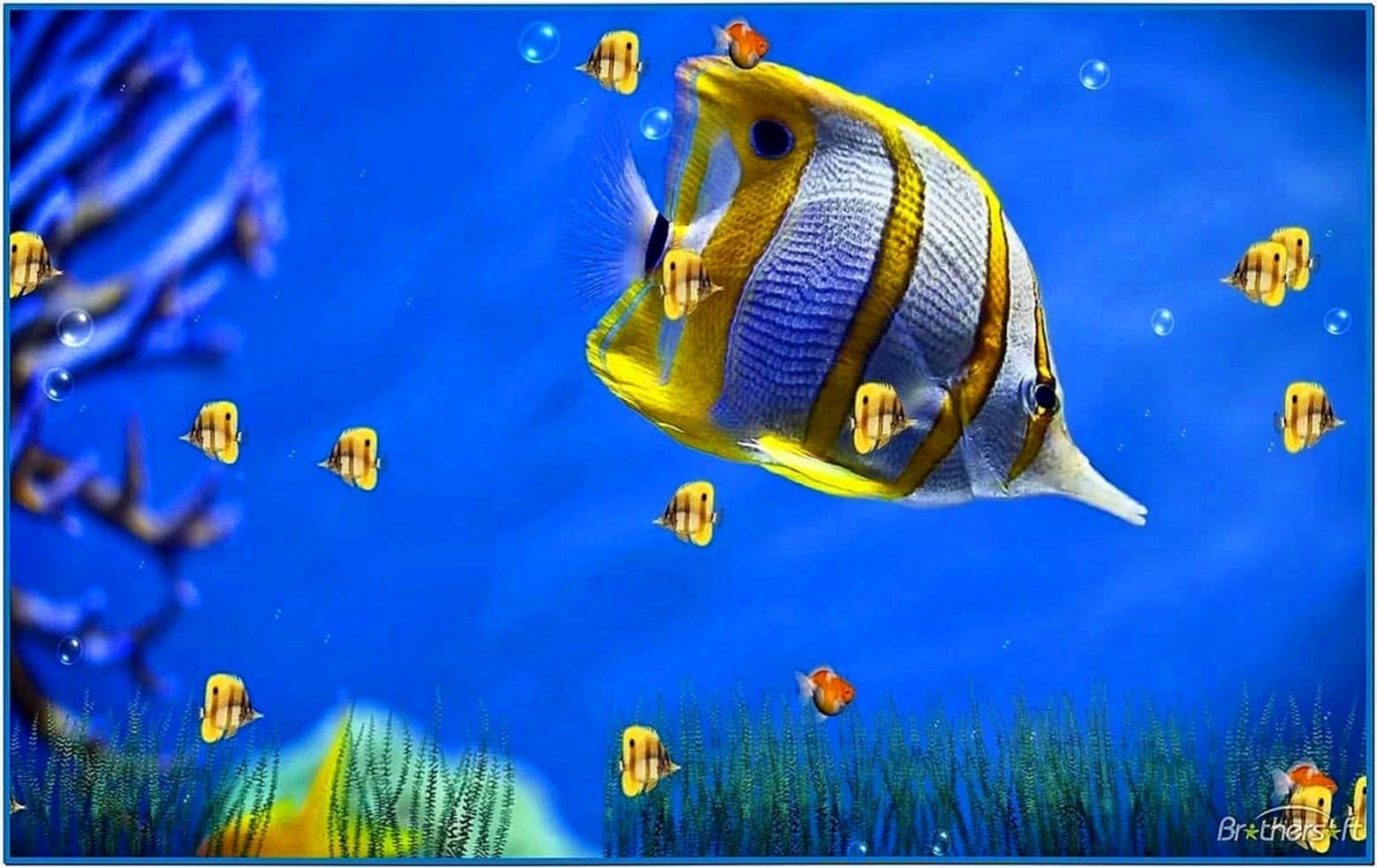 Living Marine Aquarium Screensaver Windows 7 Download Free