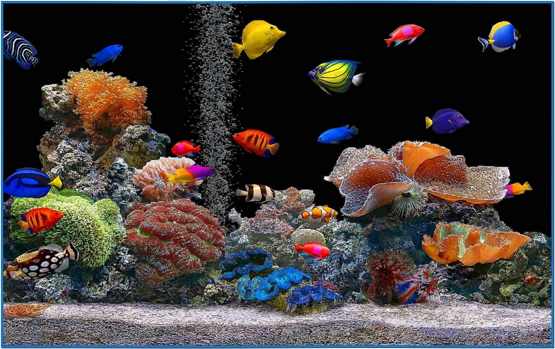 free aquarium screen saver