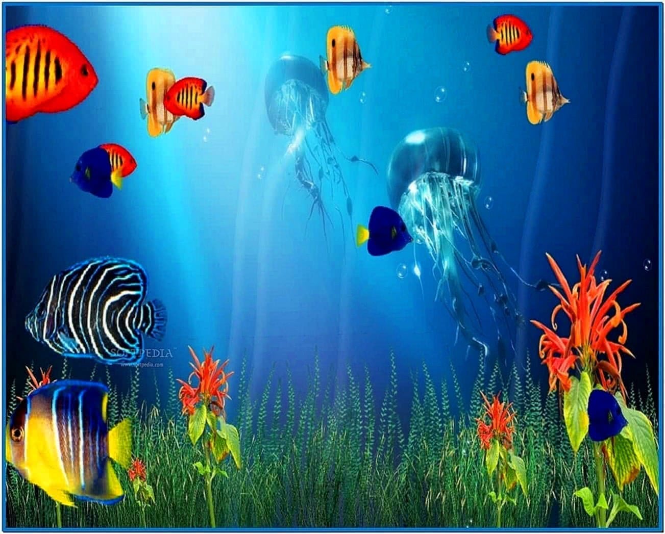 marine aquarium screensaver windows 7