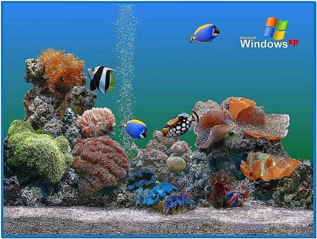 download fish tank screensaver