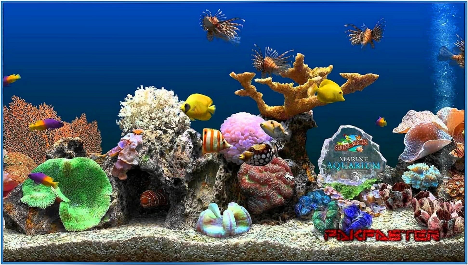screensaver aquarium