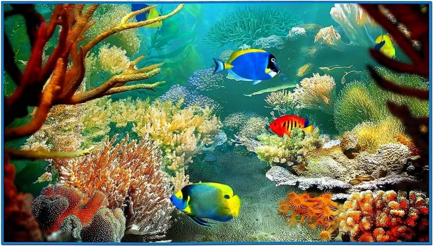 Bright fishes free screensaver 1.0.2 : prophinliou