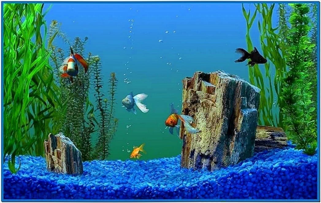 windows xp aquarium screensaver download