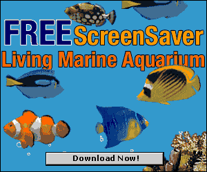 3D Aquarium Screensaver Microsoft