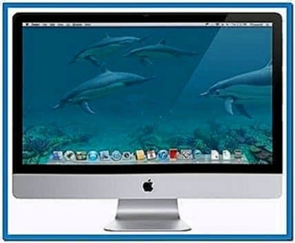 3D Dolphins Screensaver Mac