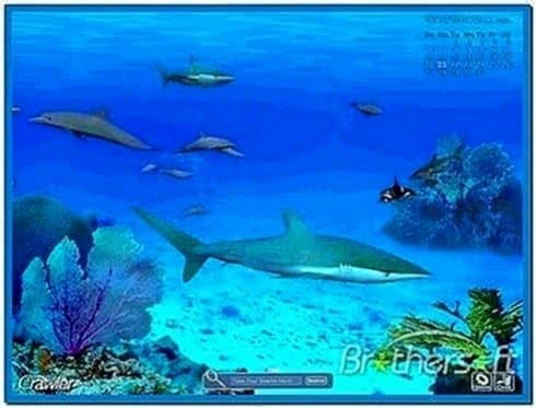 3D Marine Aquarium Screensaver 4.2.5.9