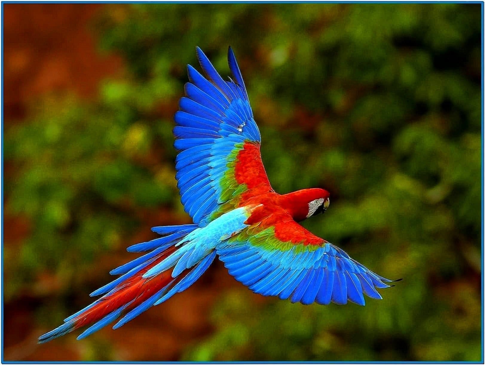 3D Parrot Screensaver