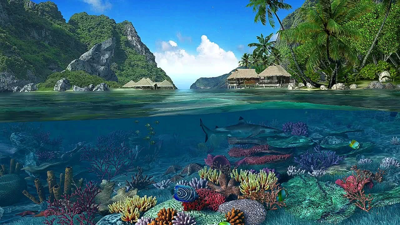 Relaxing Caribbean Islands 4K Screensaver