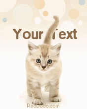 Animated Cat Screensaver