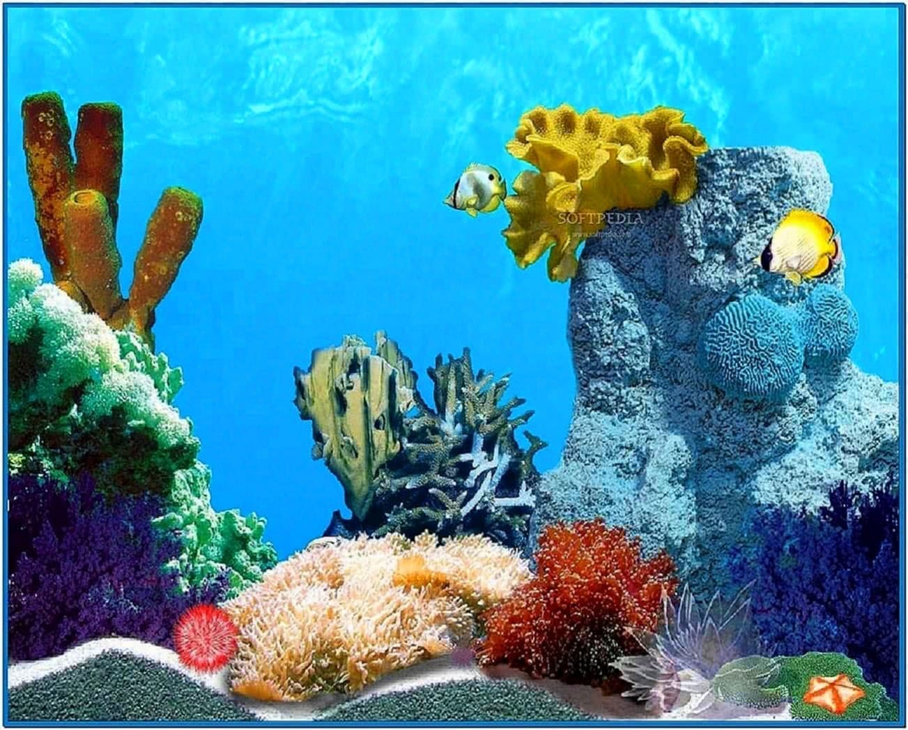 Animated Fish Screensaver Windows 7