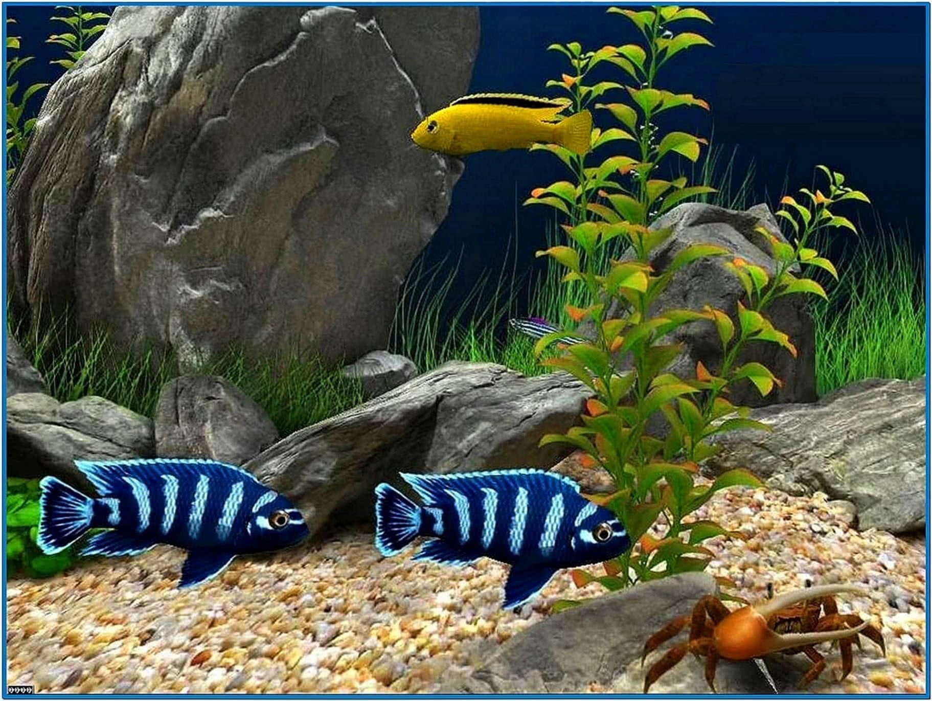 Aquarium HD Screensaver