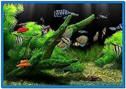Aquarium Screensaver Windows 7 Full Version