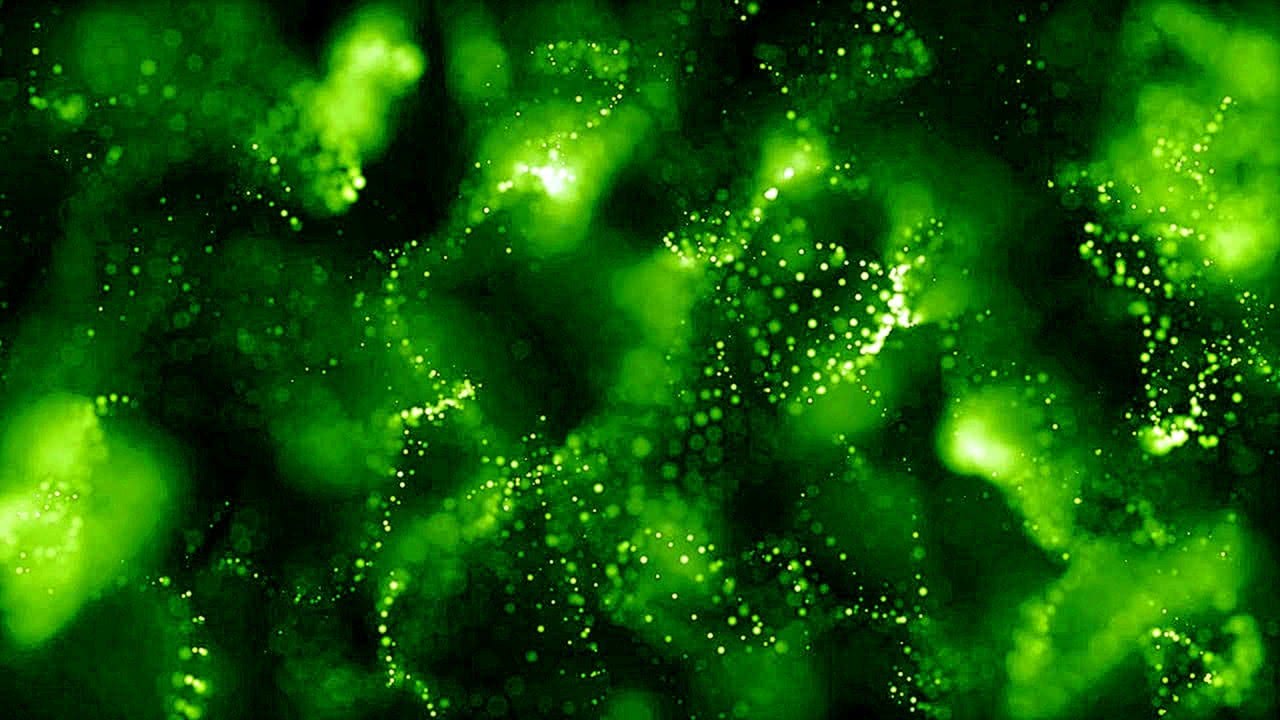 HD Relaxing Screensaver Green Glitter Particles Moving Background
