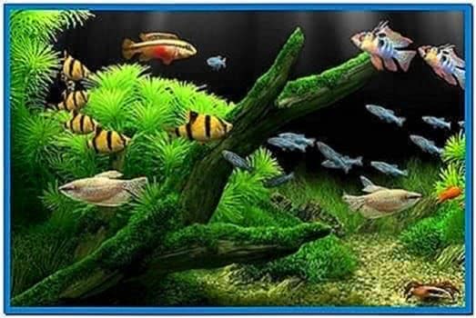 free aquarium screensaver for mac