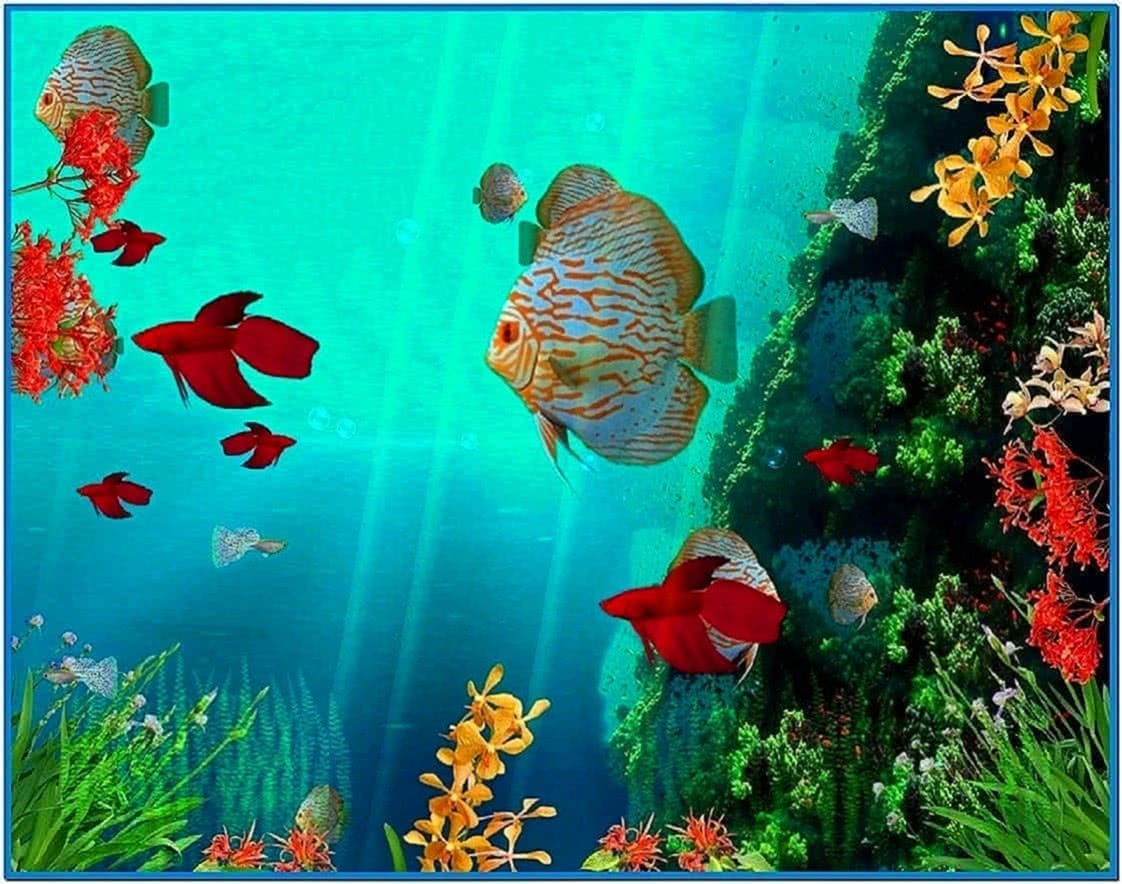 Coral Reef 3D Screensaver and Animated Wallpaper