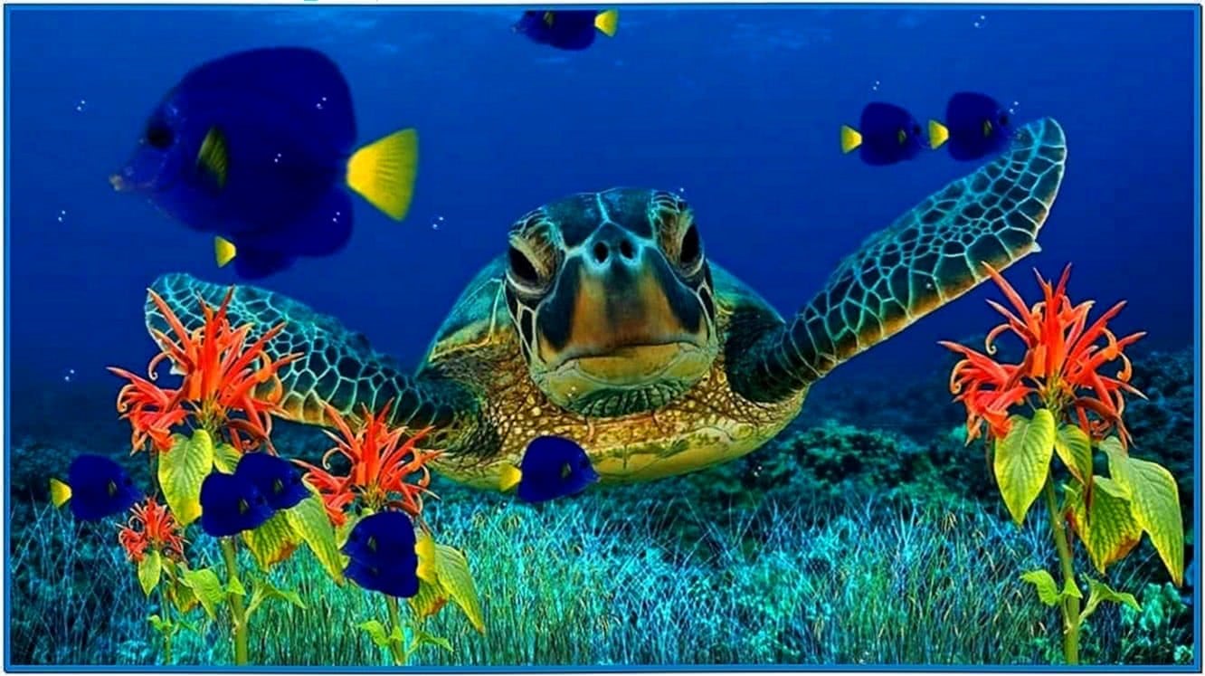 Coral Reef Adventure Aquarium 3D Screensaver 1.0