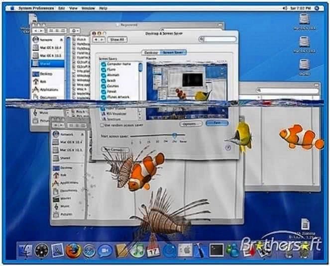 Desktop Fish Screensaver