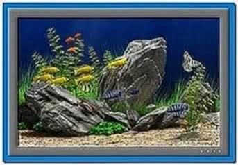 Dream Aquarium 1.2413 Screensaver 2020