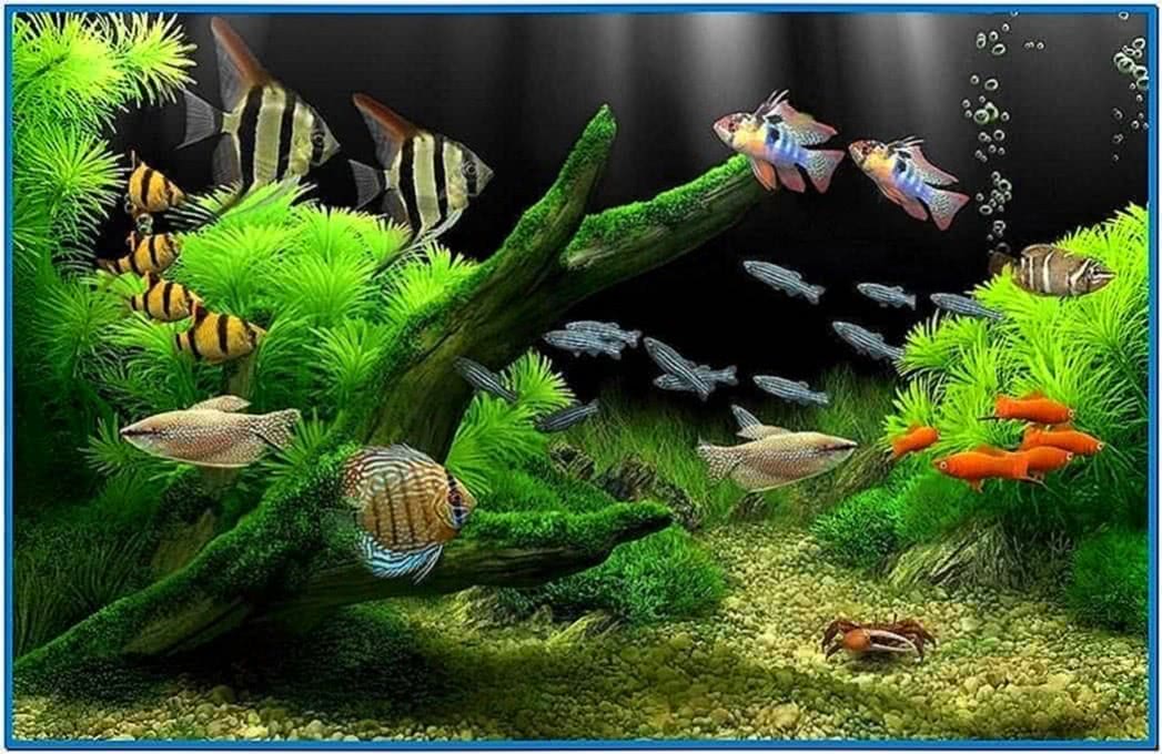 Dream Aquarium 1.2592 Screensaver