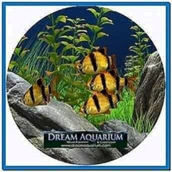 Dream Aquarium 1.2592 Screensaver 2020