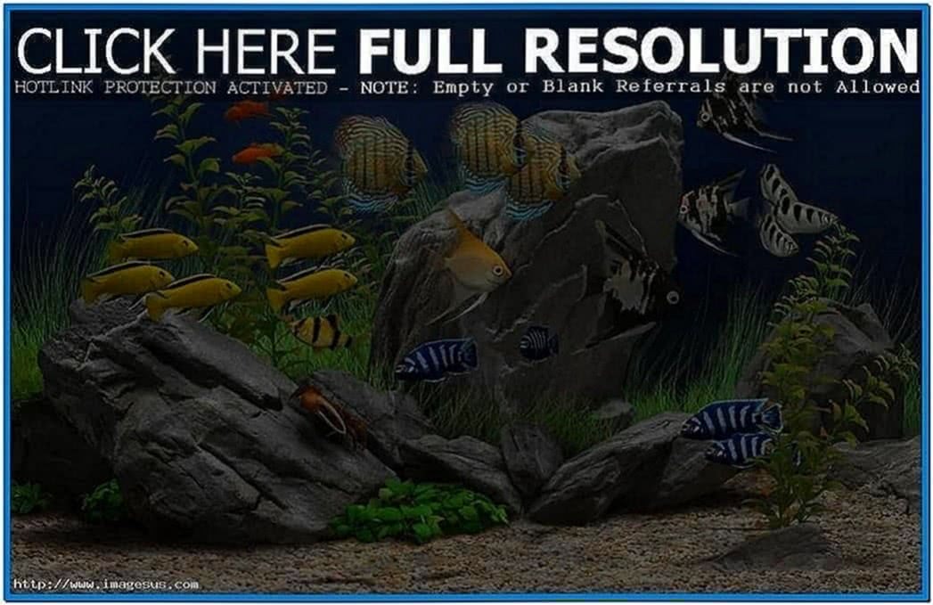 Dream Aquarium Mobile Screensaver