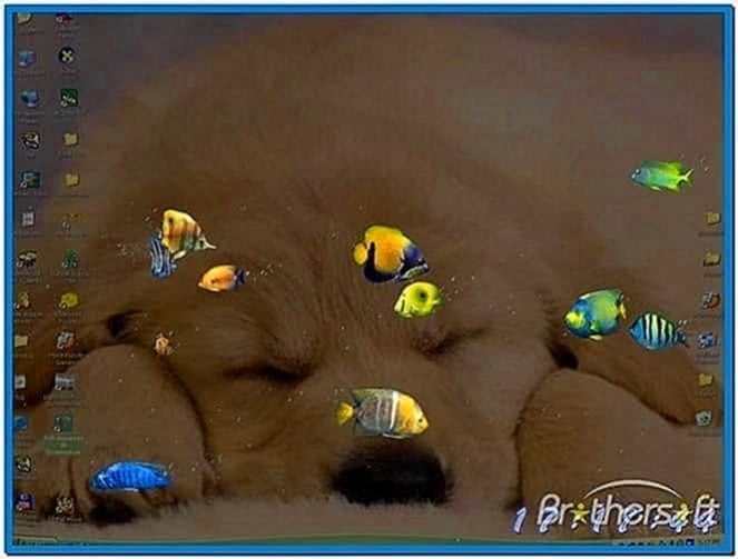 Fish Aquarium 3D Screensaver Windows 7