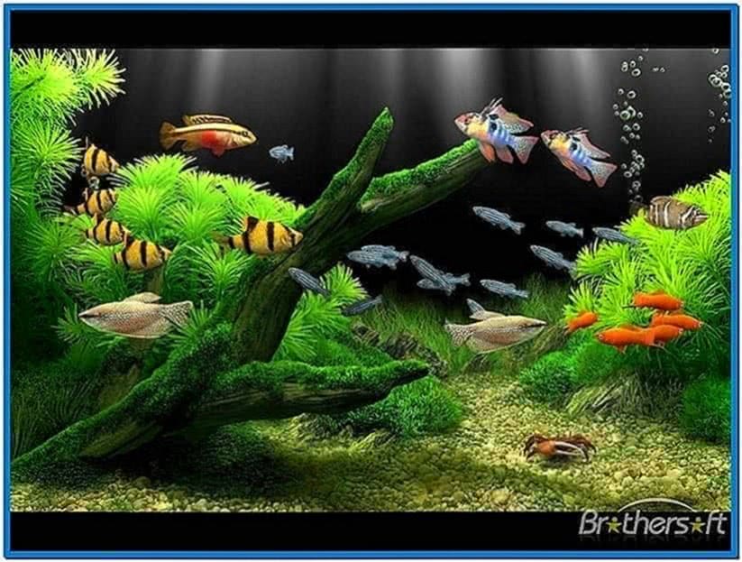 Fish Aquarium Screensaver Windows 7