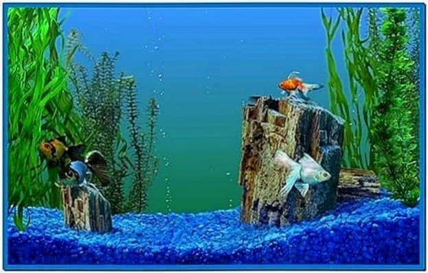 Fish Tank Screensaver Windows XP
