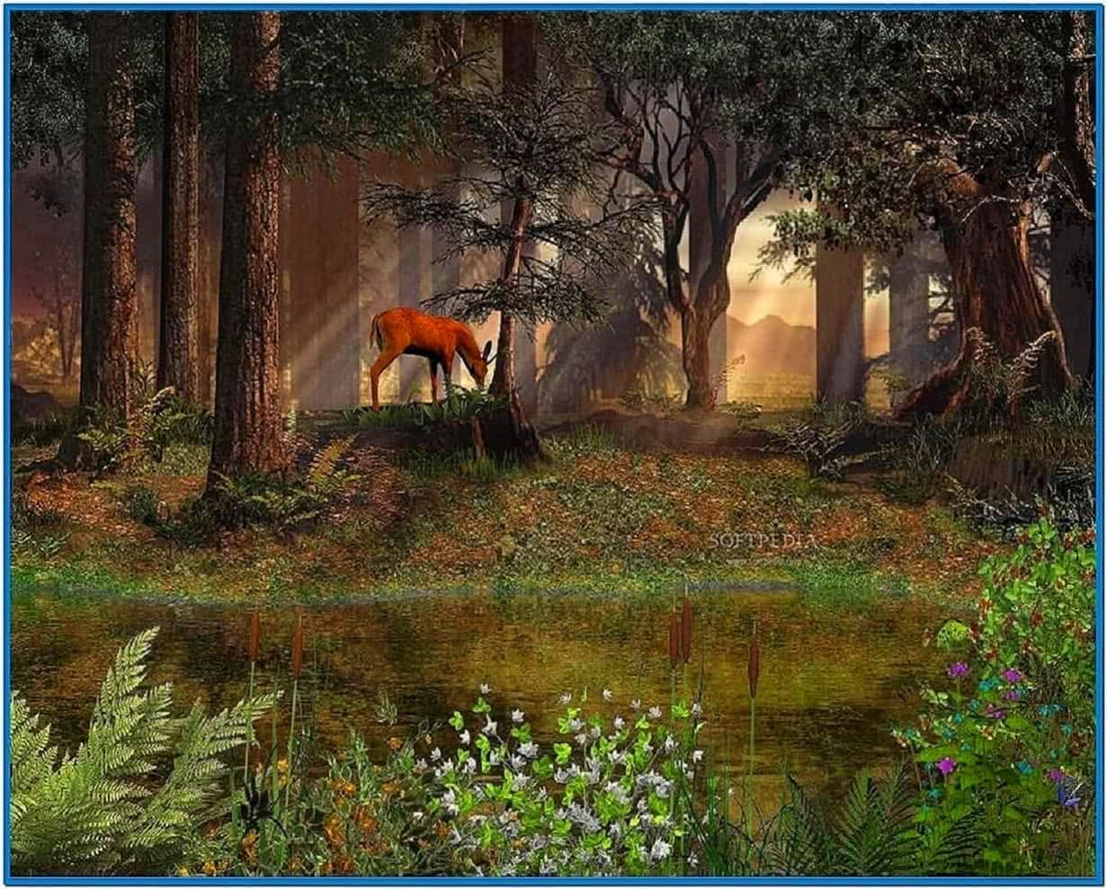 Forest Screensaver Animated