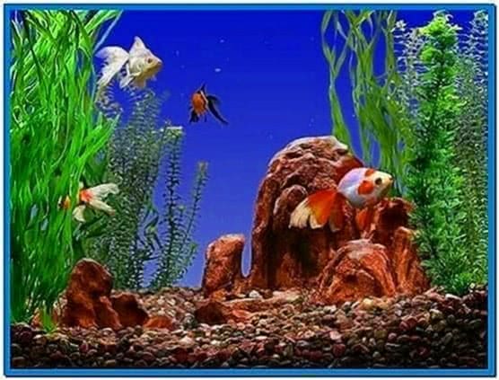 Golden Fish Aquarium Screensaver