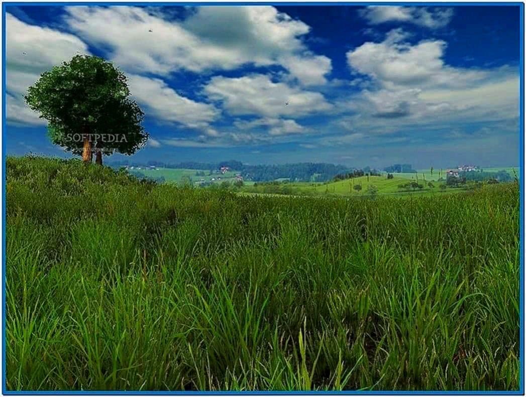 Grassland 3D Screensaver and Animated Wallpaper