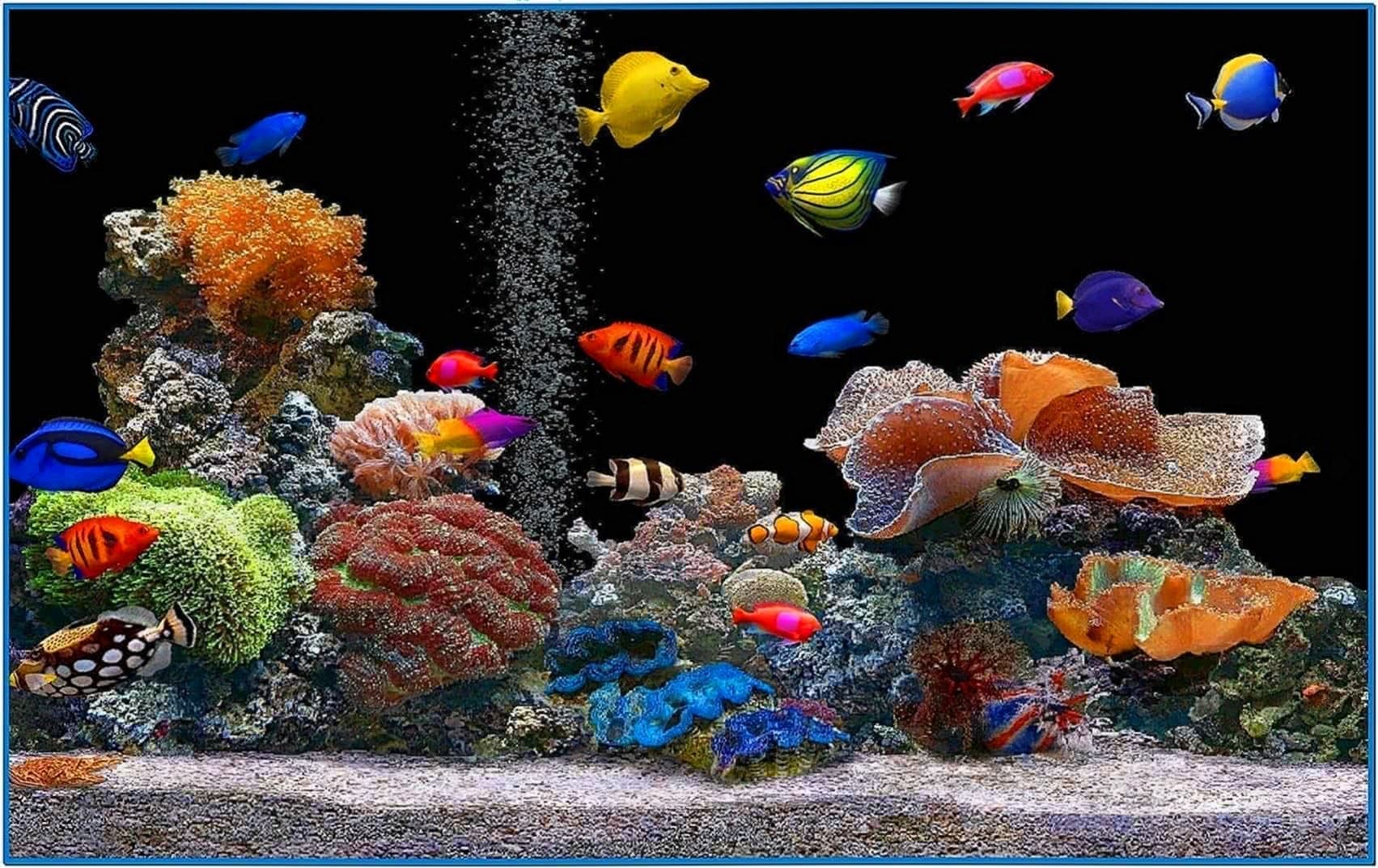 HD Screensavers Fish Tank