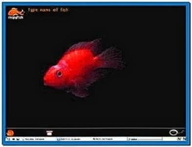 HP Mopy Fish Screensaver