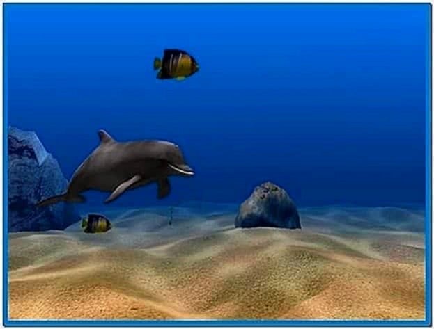 Live 3D Dolphin Screensaver