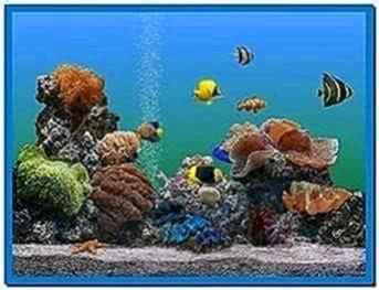 Living Marine Aquarium Screensaver Windows 7