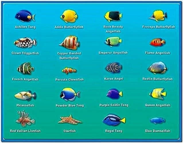 Marine Aquarium Deluxe 3.0 Screensaver