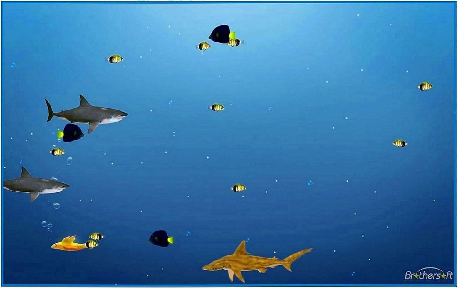 Marine Aquarium Life Screensaver