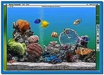 Marine Aquarium Screensaver Mac OS X